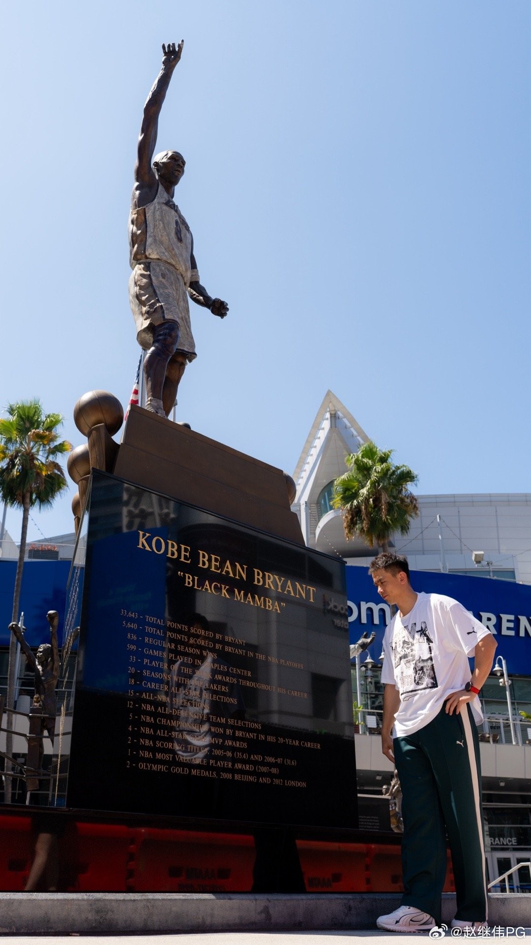 msn, div, amp msn, div, amp