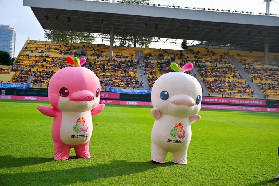 域足球底蕴, 成立于, 独特的区域 域足球底蕴, 成立于, 独特的区域